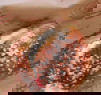 Baker's Delight - Broadbeach - Accommodation Gold Coast