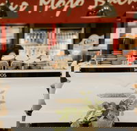 MOJOs in the Marketplace - Gold Coast 4U