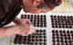 Mornington Peninsula Chocolaterie & Ice Creamery - thumb 2