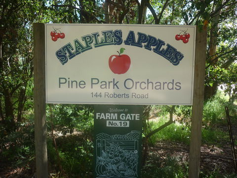 Staples Apples - Gold Coast 4U 2