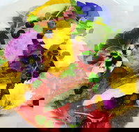 The Lazy Goose - Accommodation Gold Coast