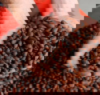 Zokoko Chocolate and Espresso Cafe - Accommodation Gold Coast