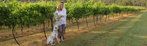 Greenway Wines - Accommodation Gold Coast 1