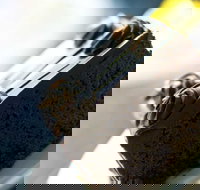 Noci Licensed Restaurant - Accommodation Gold Coast