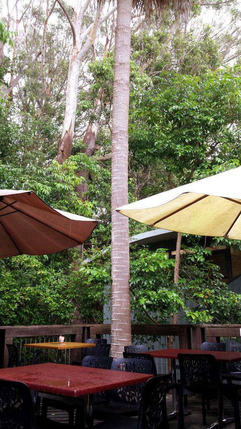 Rainforest Cafe - Accommodation Gold Coast 0