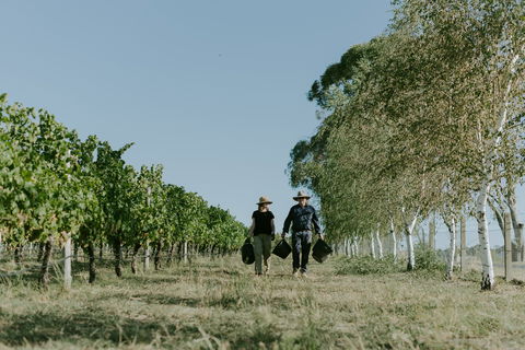 Rowlee Wines - 1 Gold Coast 1