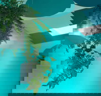 Upsy Daisy - 1 Gold Coast