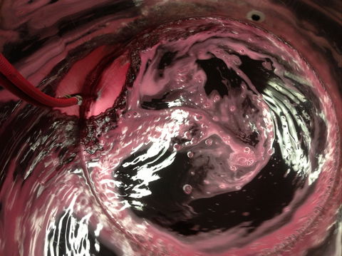 Badger Creek Blueberry Winery - Gold Coast 4U 2