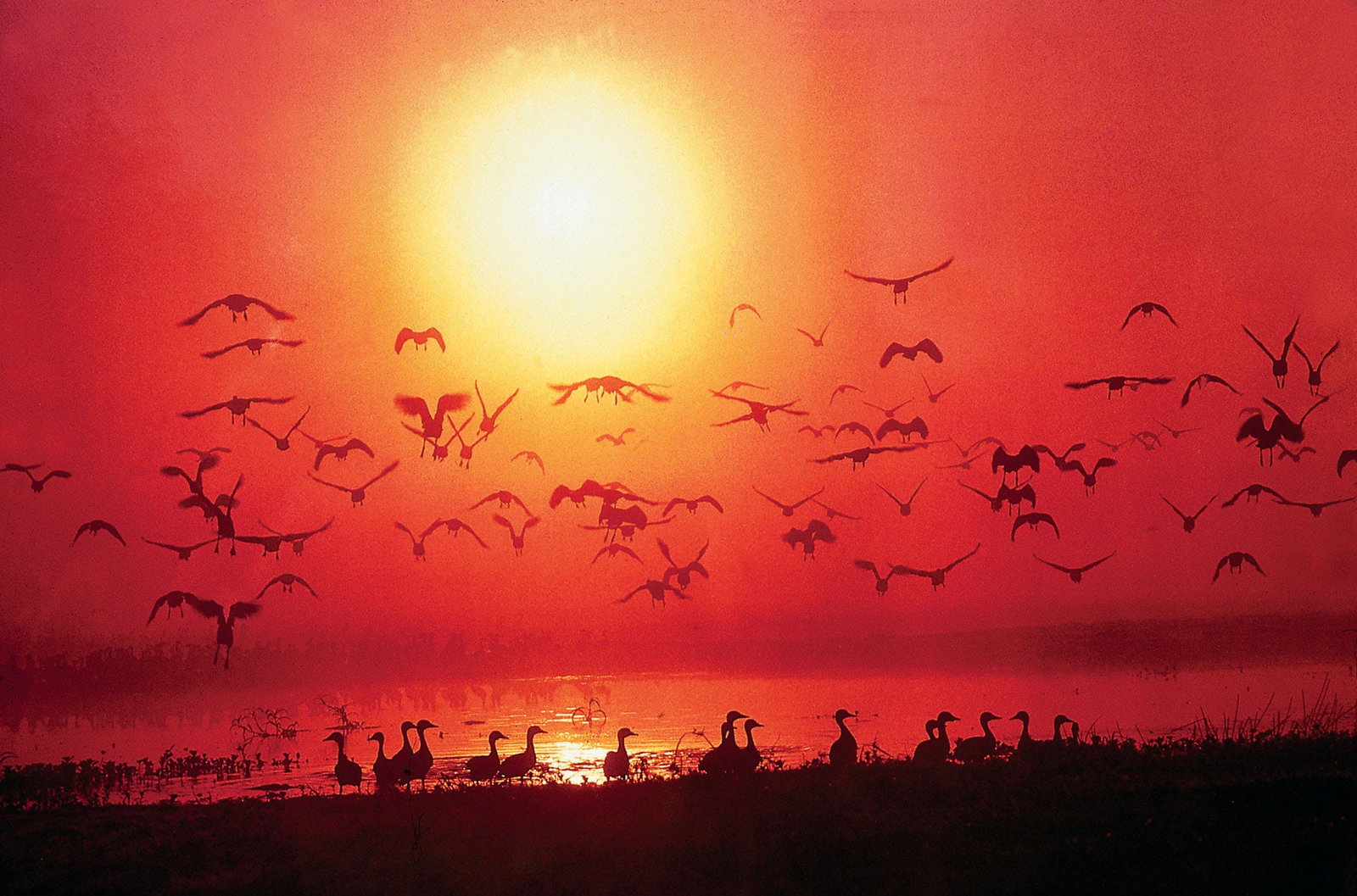 Alice Springs NT Accommodation Gold Coast