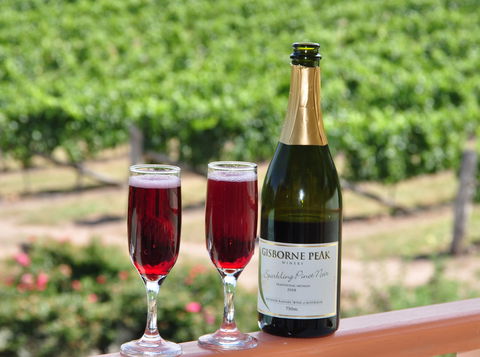 Gisborne Peak Winery - 1 Gold Coast 2