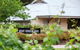 Mount Horrocks Wines - thumb 0