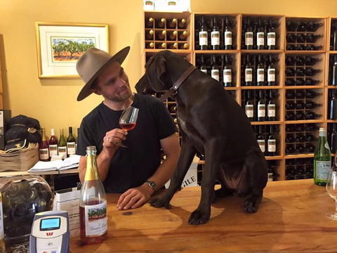 Vinden Estate Wines - Accommodation Gold Coast 1