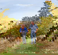 WayWood Wines - Gold Coast 4U