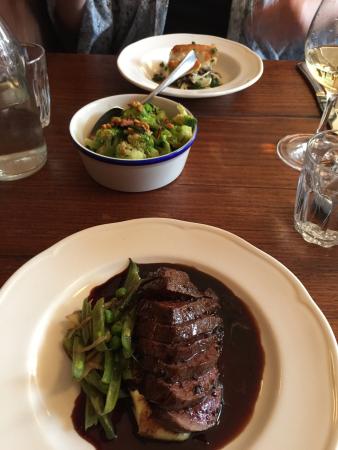 Midnight Starling - Accommodation Gold Coast 0