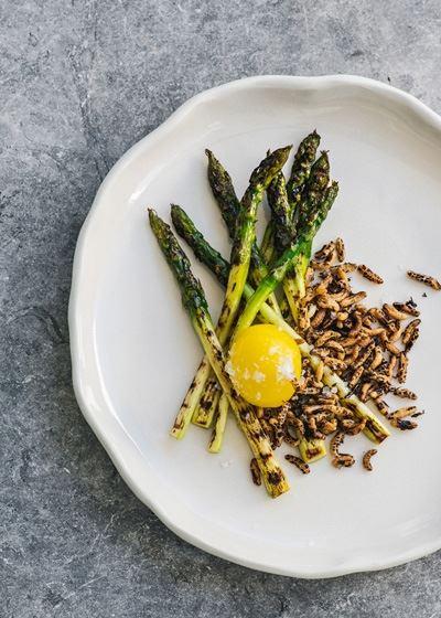 Rice Baby - Accommodation Gold Coast 14