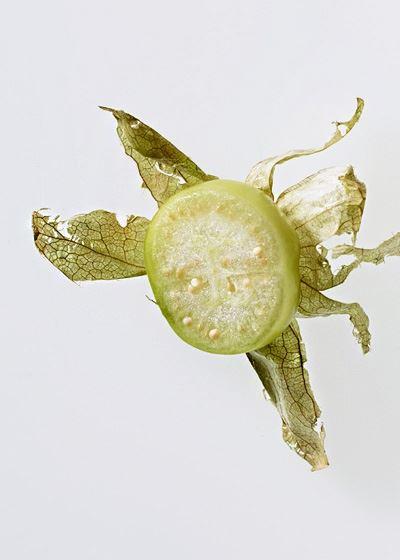 Rice Baby - Accommodation Gold Coast 17