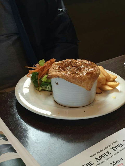 The Apple Tree Inn - Gold Coast 4U 6