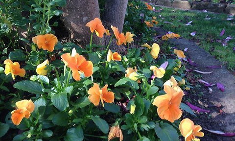 The Cornerstone Ale House - Accommodation Gold Coast 3