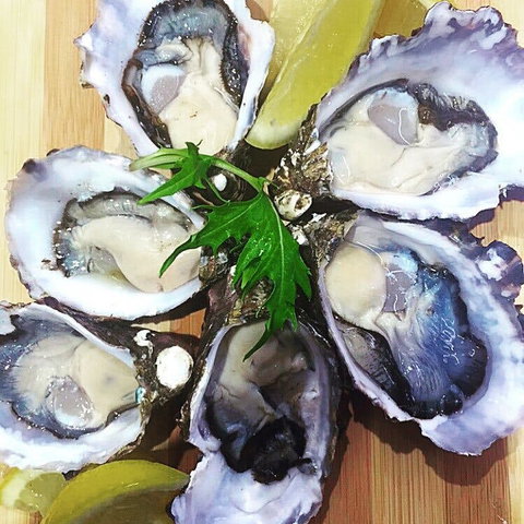 Captain & Co Fish Bar - Accommodation Gold Coast 0