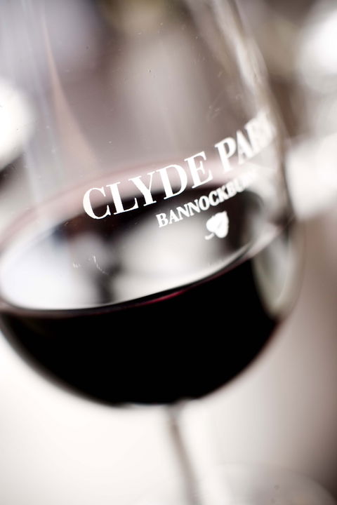 Clyde Park Vineyard & Bistro - Accommodation Gold Coast 0