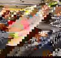 Faulls Ridge Winery - Accommodation Gold Coast