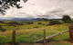 Faulls Ridge Winery - thumb 1