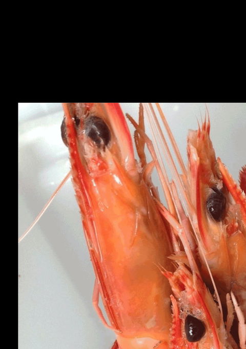 The Prawn Shack - 1 Gold Coast 0