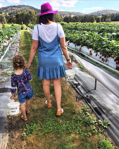 Beechworth Berries - Gold Coast 4U 2