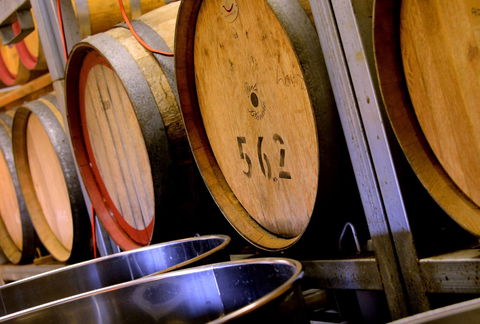 Gloucester River Winery - Accommodation Gold Coast 0