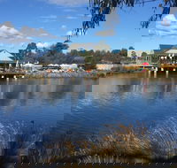 Puddleduck Vineyard - Accommodation Gold Coast
