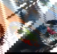 Sushi Monster - Accommodation Gold Coast