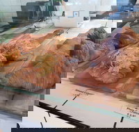 Ganache Chocolate - Accommodation Gold Coast