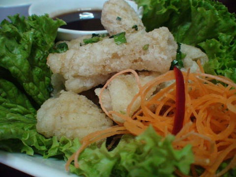 Green Bamboo - Accommodation Gold Coast 0