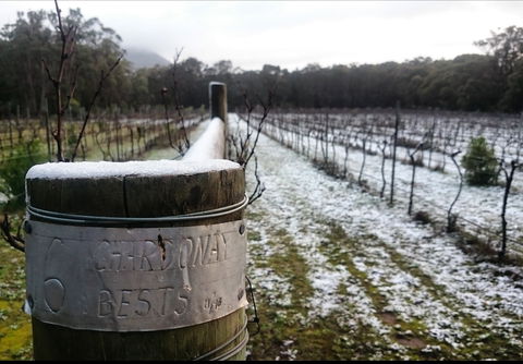 Mount Buninyong Winery - 1 Gold Coast 1