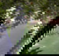 Noosa Waterfront Restaurant - Accommodation Gold Coast