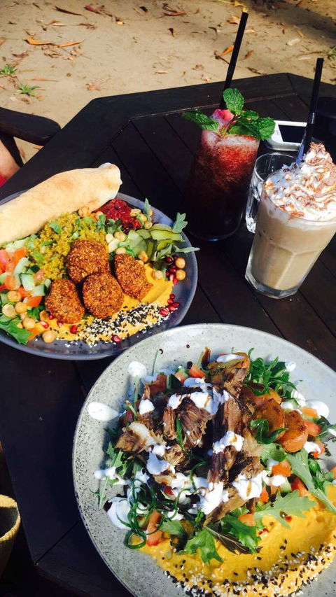 Rainforest Cafe Restaurant - Accommodation Gold Coast 0