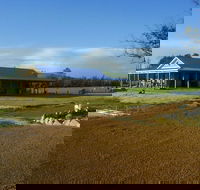 Thomson Brook Wines - Gold Coast 4U