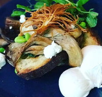Toast Cafe - Accommodation Gold Coast