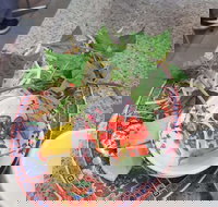 Amarillo - Accommodation Gold Coast