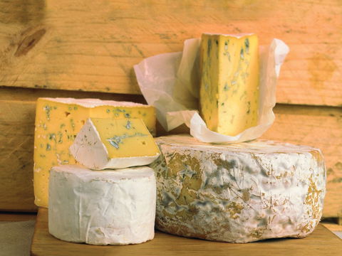 Cheese Shop At Makers' Workshop Burnie - The - Accommodation Gold Coast 1