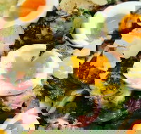 Major Major - Accommodation Gold Coast