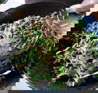 Mockingbird Cafe - 1 Gold Coast