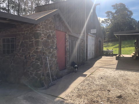 Wilmot Hills Orchard & Distillery - Accommodation Gold Coast 1