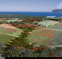 Wise Wine - Gold Coast 4U