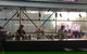 Hello Rooftop Bar - thumb 2