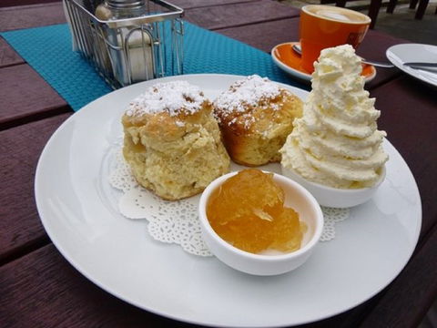 Mogo Pies - Gold Coast 4U 1