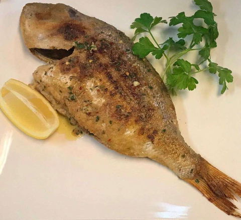 Sassone Cucina Italiana - Accommodation Gold Coast 0