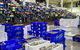 Sydney Fish Market - thumb 0