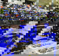 Sydney Fish Market - Gold Coast 4U