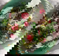 Tiggy - Accommodation Gold Coast